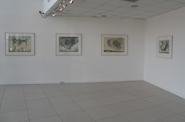 Artists Vincent Sheridan Review