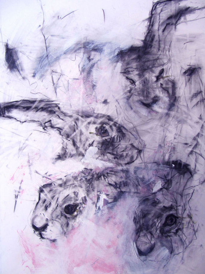 Viz News Margo Banks 2