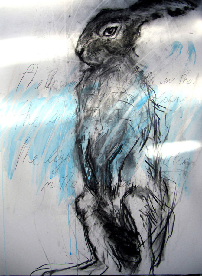 Viz News Margo Banks 3