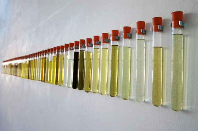 Viz 2013 Christine Mackey