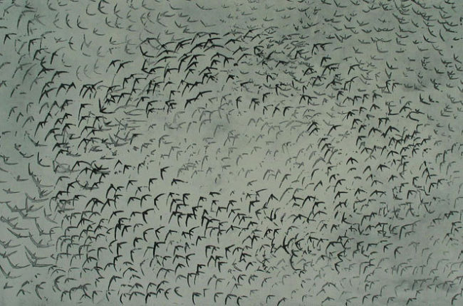 Viz 2013 Vincent Sheridan