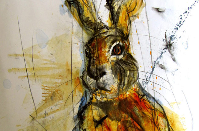 Viz 2014 Margo Banks