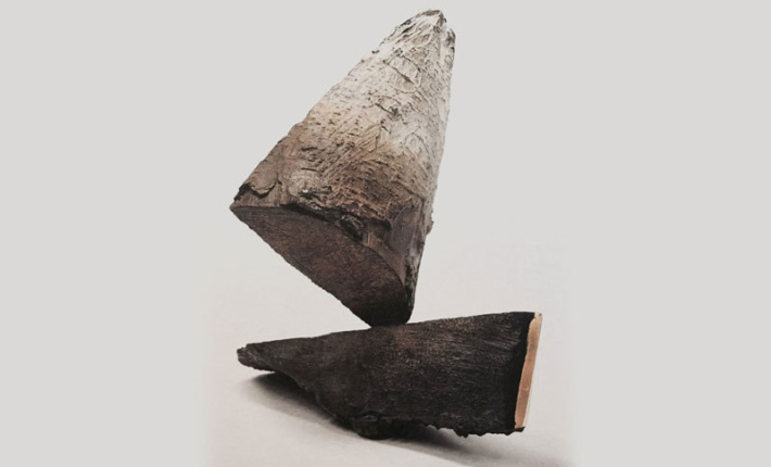 Artist In Res Martin De P Wright 1