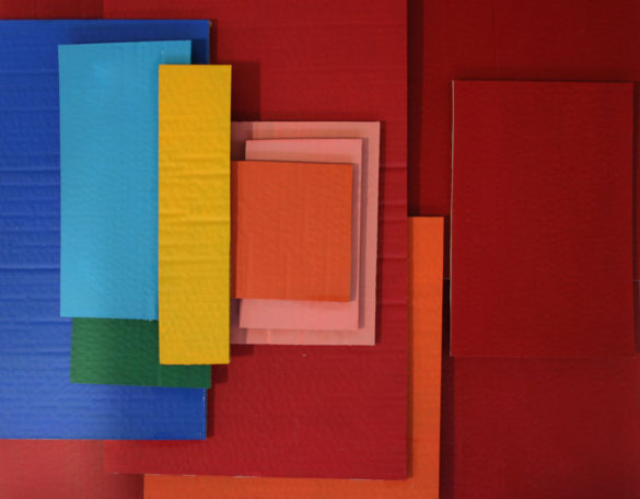 Viz News Aislin Conroy 3