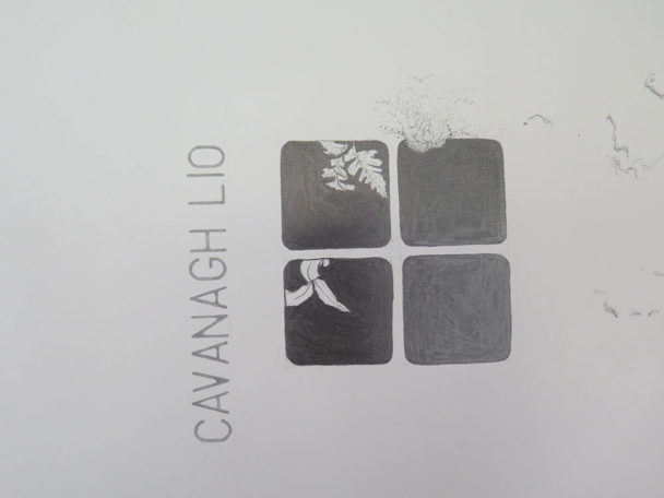 Viz News Herbert Smith 5