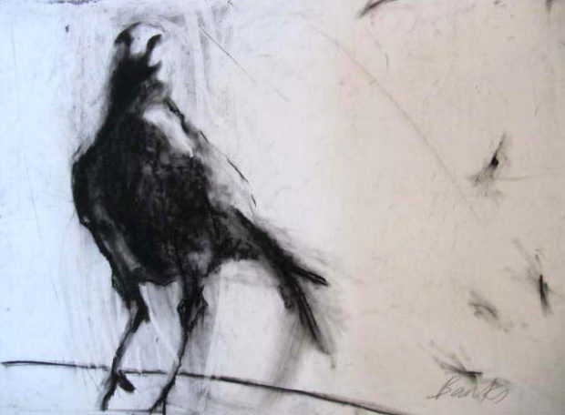 Viz News Margo Banks 5