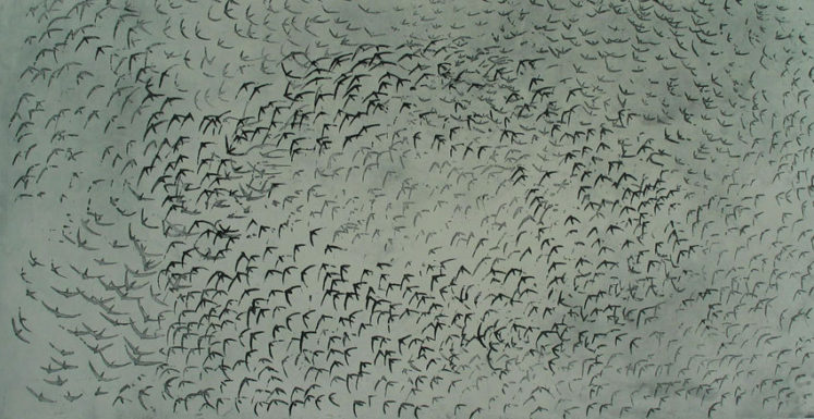 Viz News Review Vincent Sheridan 4