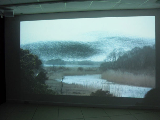 Viz News Vincent Sheridan 12