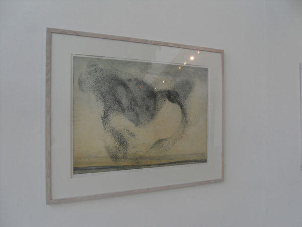 Viz News Vincent Sheridan 7