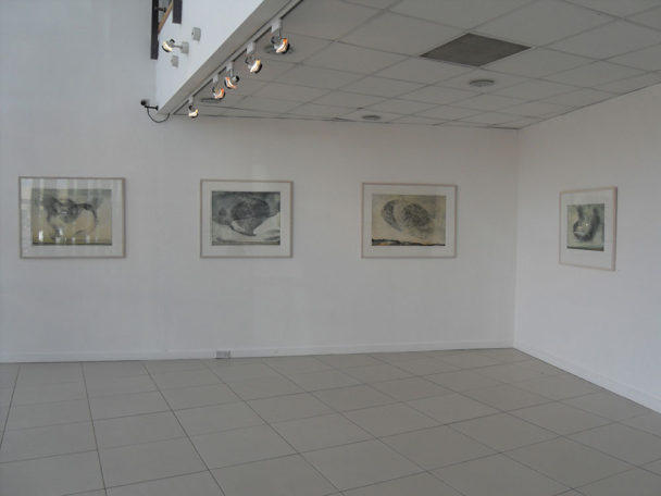 Viz News Vincent Sheridan 9