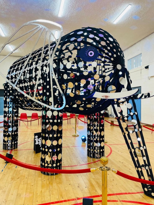 Project2026 Elephant ITR 03