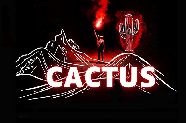Event2023 Cactus D15 YT