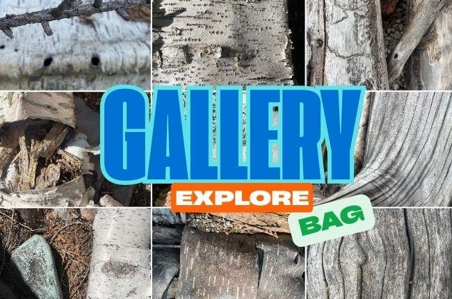 Event2025 Gallery Explore Bag