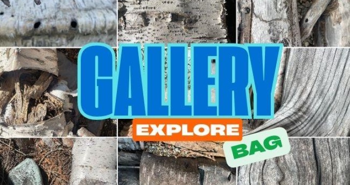 Event2025 Gallery Explore Bag