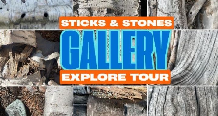 Event2026 School Tours Sticks And Stones