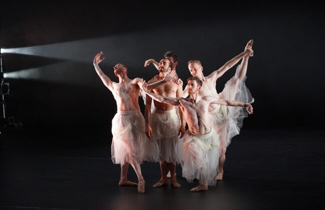 Artists Ballet Ireland 3